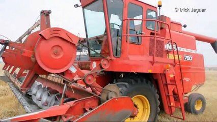 4x Massey Ferguson 760