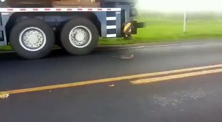 Я наведу порядок на этой дороге...