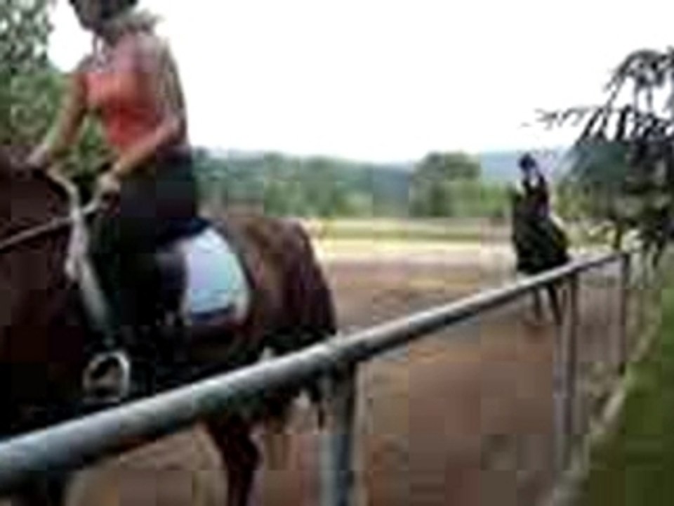 Au galop dans la cariere!