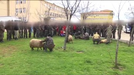 İdil'de Özel Harekat Polisleri Kurban Kesti