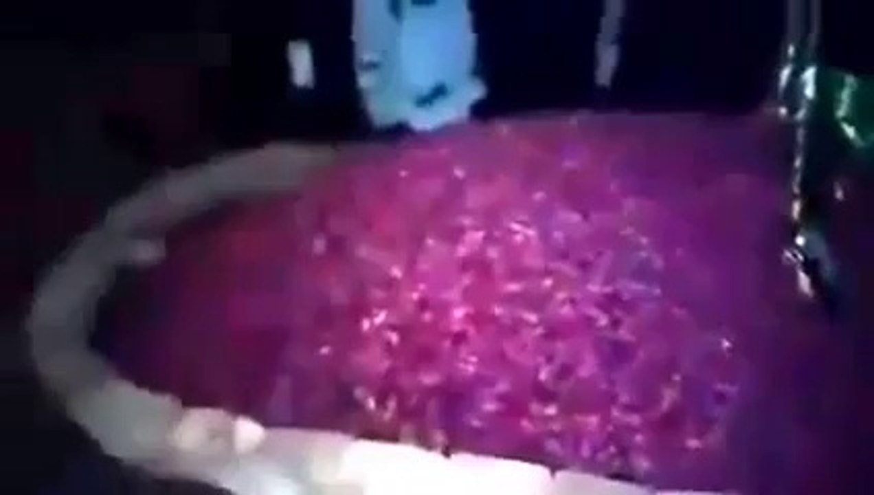 Leaked Video of Mumtaz Qadri Grave
