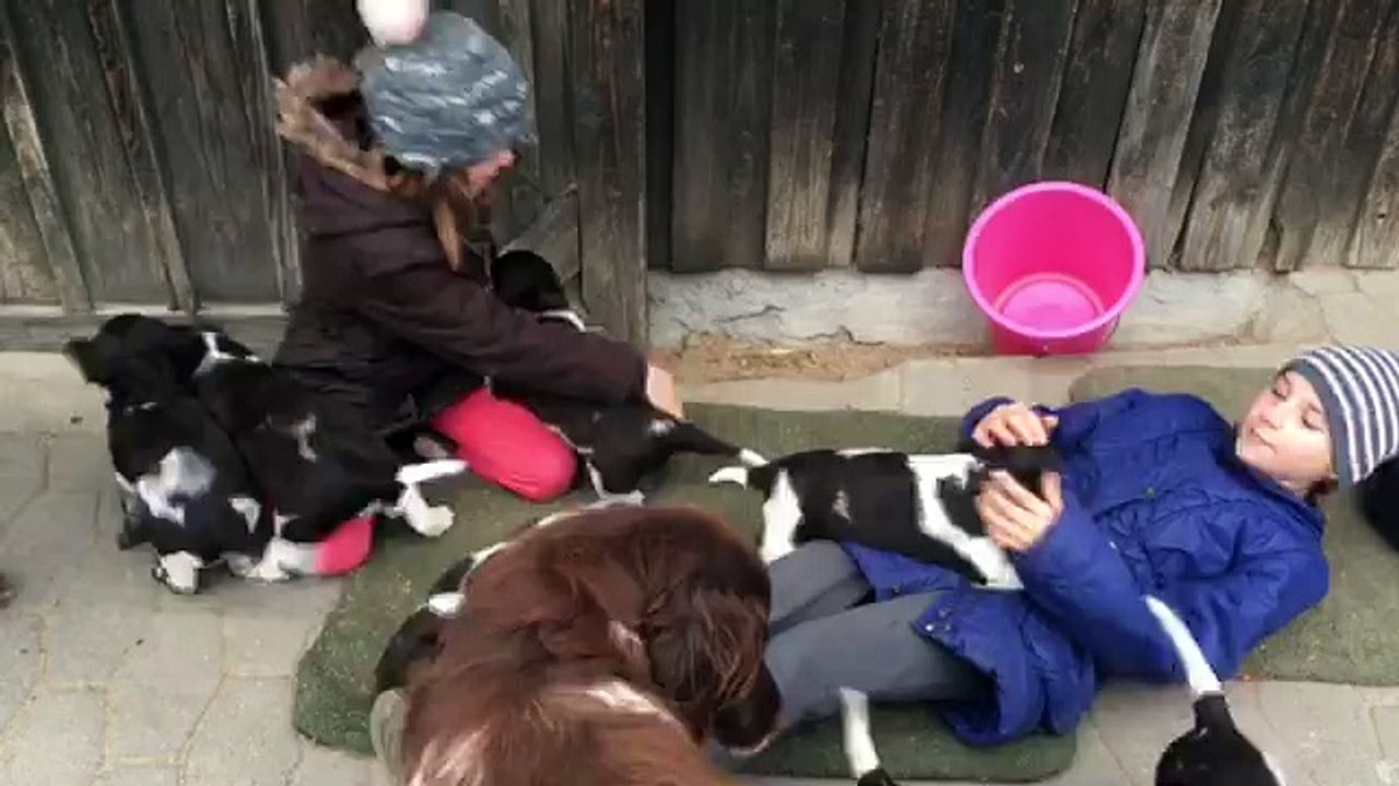 KlM Welpen 4 | 05.03.2016