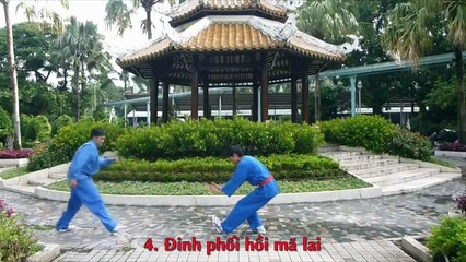 Techniques du Nhu khí công quyền 1