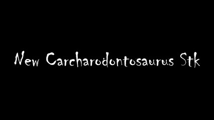 New Carcharodontosaurus Stk