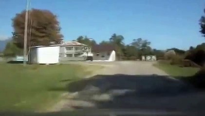 Прикалюха !Коровий СТРАЙК!!! Октябрь 2015 !