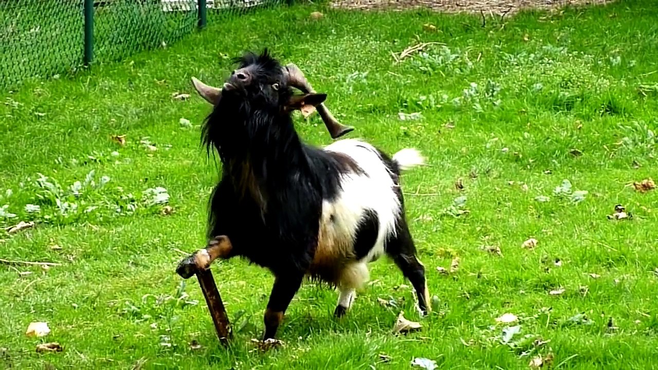 Le Zap de Spi0n 282 / Zap2Spi0n - 2016