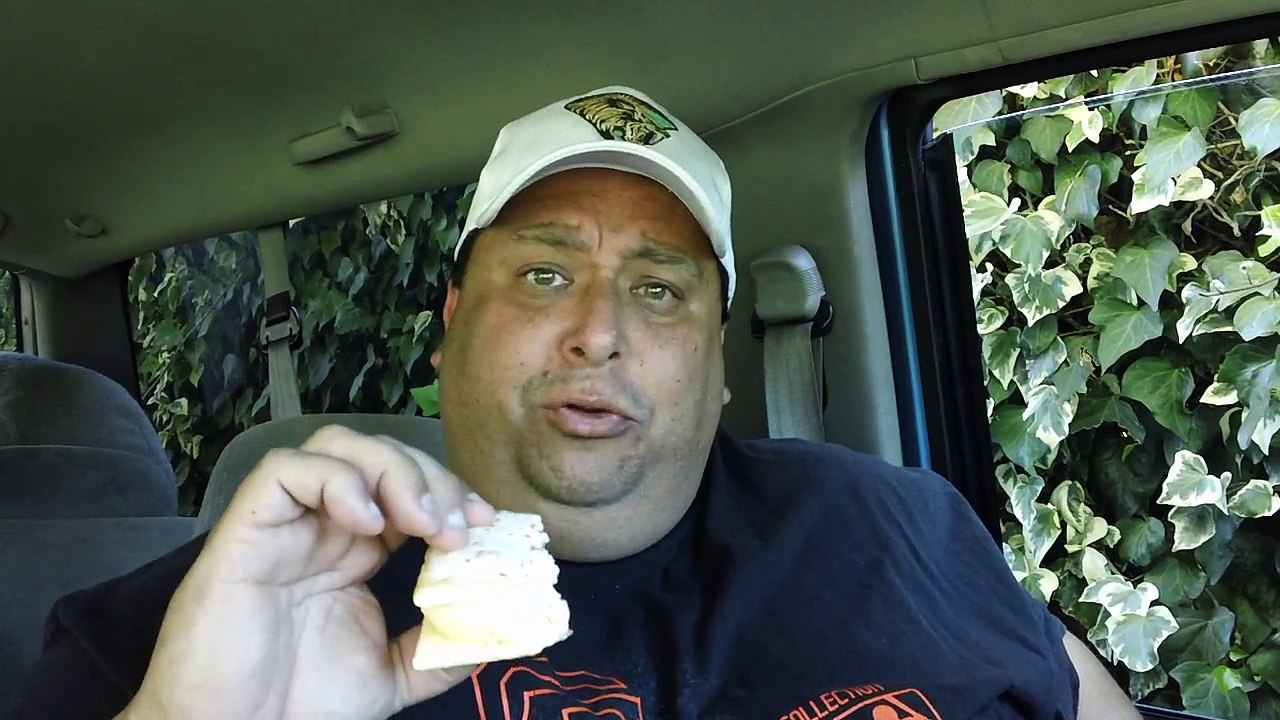 Strawberry Pop-Tart Ice Cream Sandwich REVIEW!!