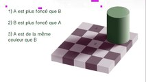 Illusion d'optique : Echiquier d'Adelson