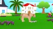 Finger Family Children Nursery Rhymes Cats Cartoons for Children | Dogs Finger Family Nurs