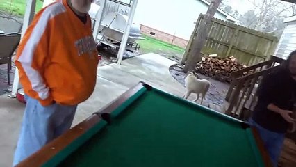 DulVoice #49 Злой дед и бильярд (Озвучка Aizek adam)