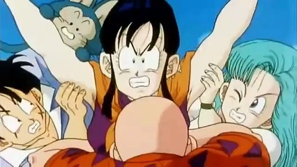 All the perverted scenes between master roshi and chichi
