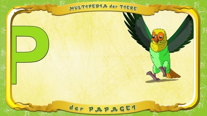 Multipedia der Tiere Buchstabe P der Papagei