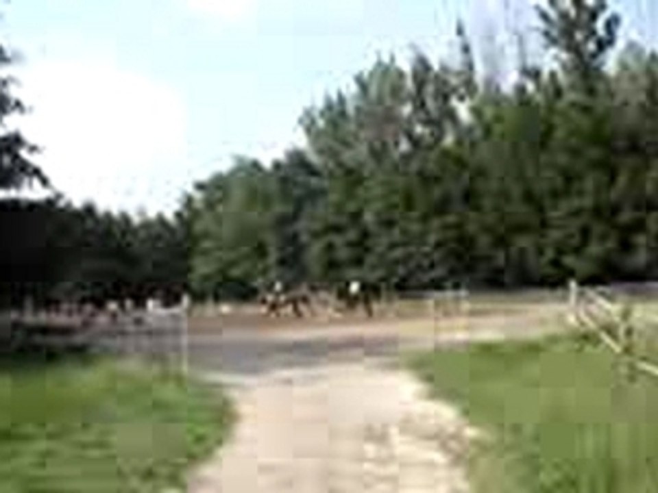 Julien fais galoper Sacramento