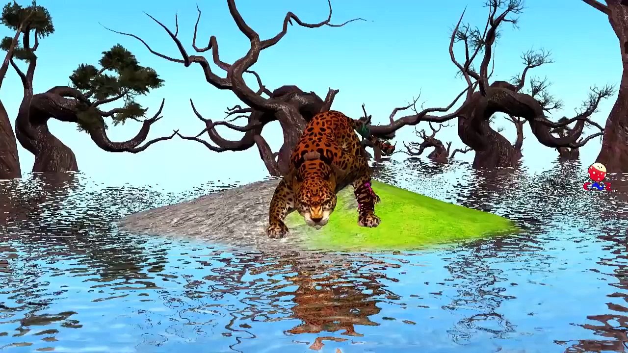 Finger Family Children Nursery Rhymes By Jaguar Cheetah And Tiger Cartoons For Children