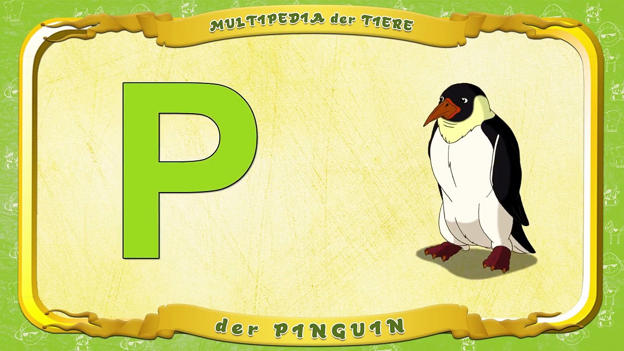 Multipedia der Tiere Buchstabe P der Pinguin