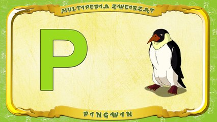 Multipedia Zwierząt. Litera P Pingwin