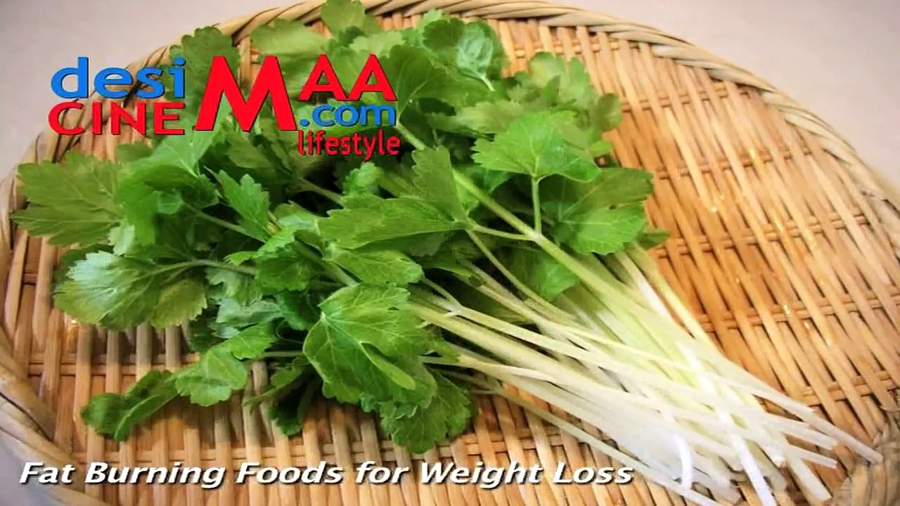 Fat Burning Foods for Weight Loss