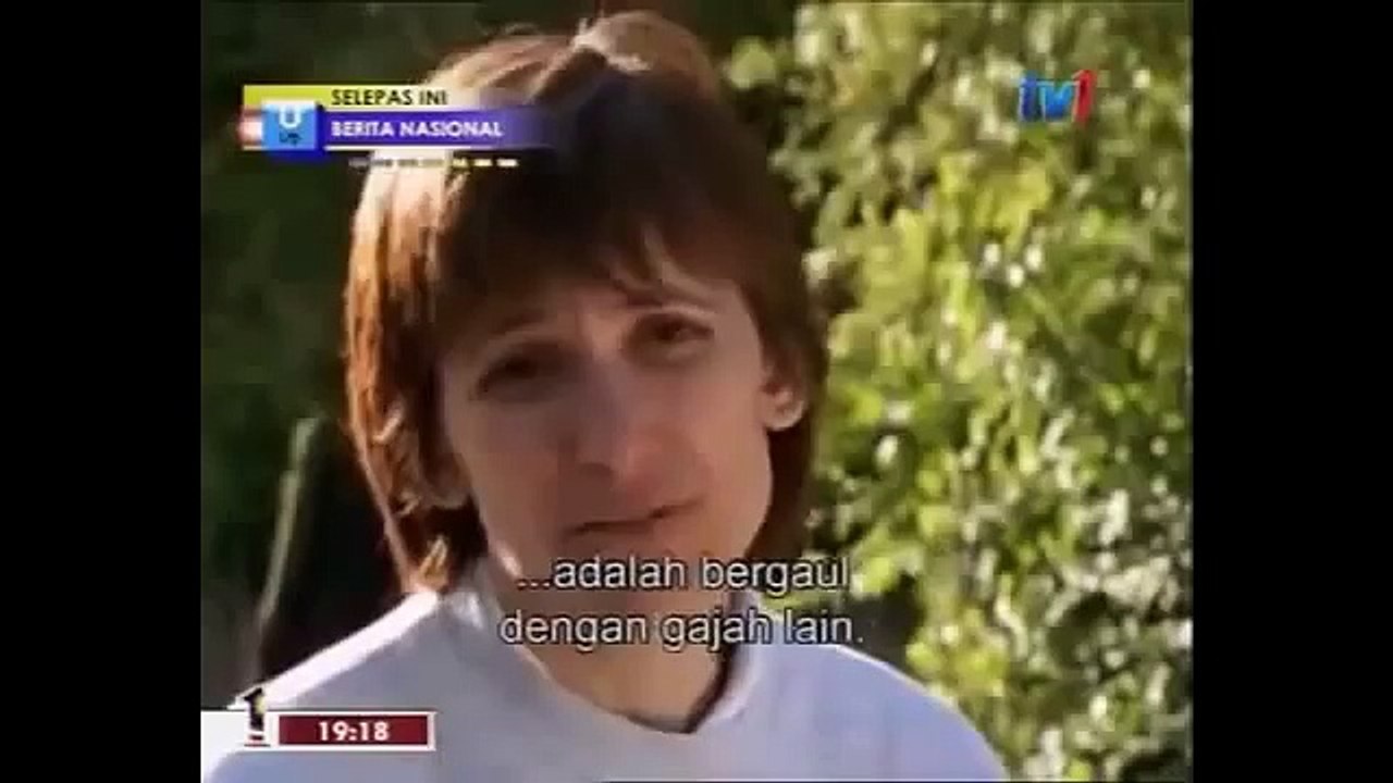 The Urban Elephant (Nature Documentary)