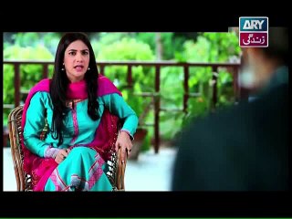 Bay Gunnah Episode 88 on Ary Zindagi