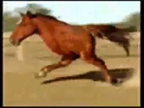 Тест на психику! Кто засмеётся, тот псих!