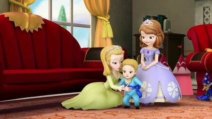 Sofia the First - Sisters and Brothers