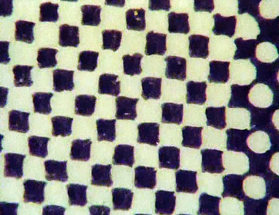 Nice to See You (ナイス･トゥー･シー･ユー) - Taku Furukawa