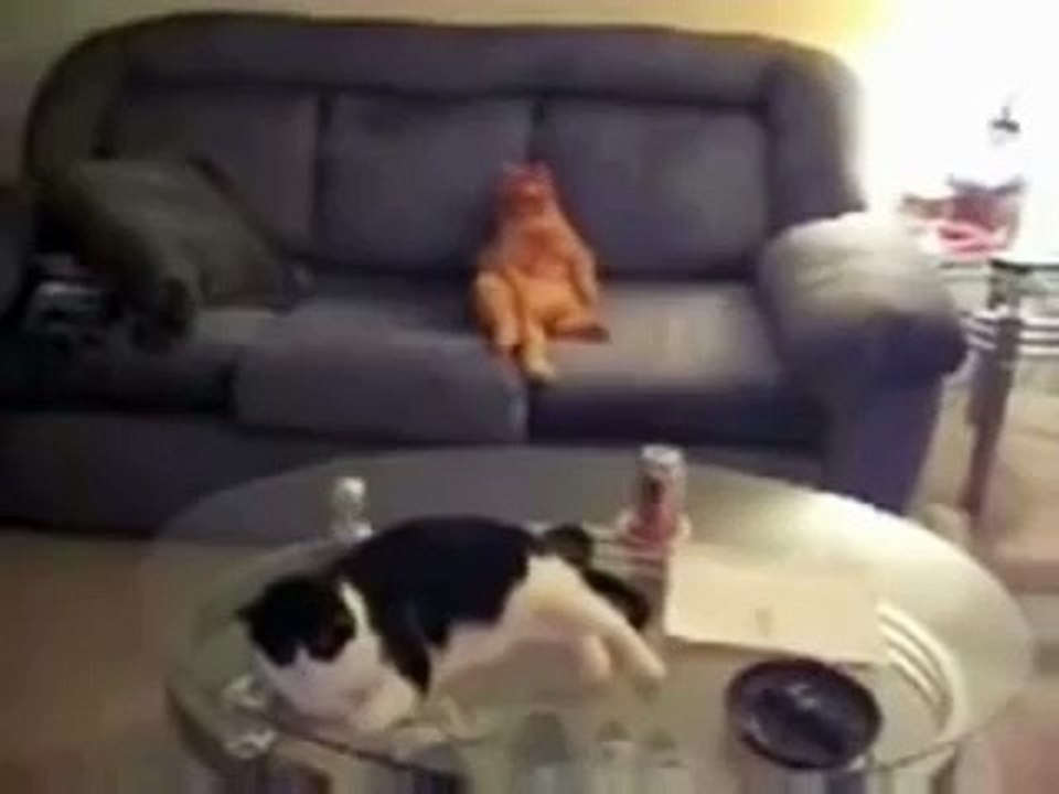 Garfield is real