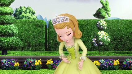 Sofia the First - Make Your Wishes Well