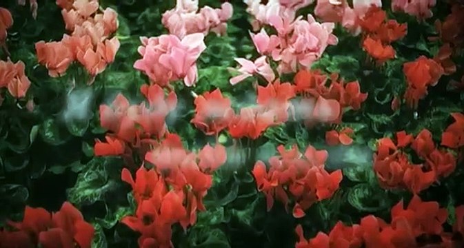 Я буду ждать тебя всегда 1 серия Мелодрама 2014