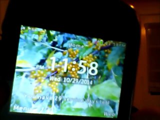 (JOKE VIDEO) I CALL FREDDY FAZBEAR S PIZZERIA!!!! (TURN VOLUME DOWN)