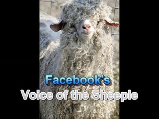 Bill Maher  michele bachmann is a JOKE!