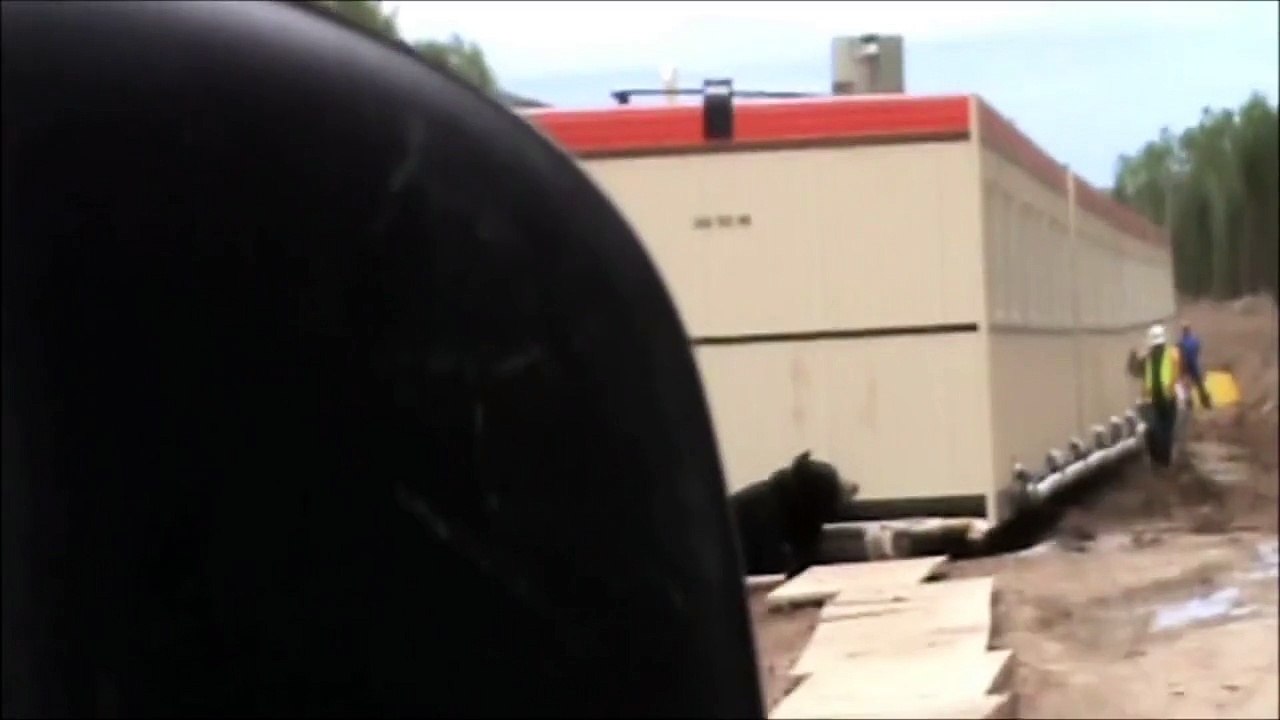 Son collègue de chantier lui fait une blague avec un costume d'Ours