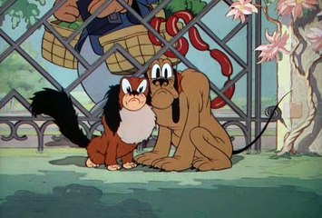 Miky Mousse - Pluto's Quin-puplets (1937)