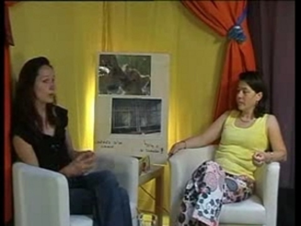 Nos frères les animaux ... "maux de cirques"