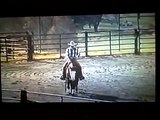 Rowdy Yankee Reining Horse for sale