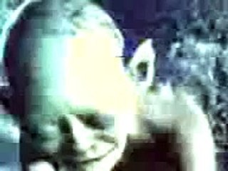 es zinu ka tu drachi toleta XD — копия