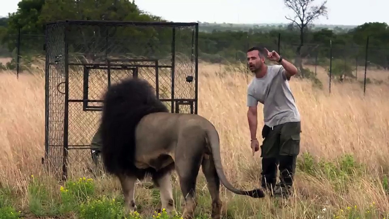 Bond Between A Man And Big Cats