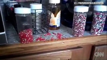 Distraction Kid caught sprinkle faced