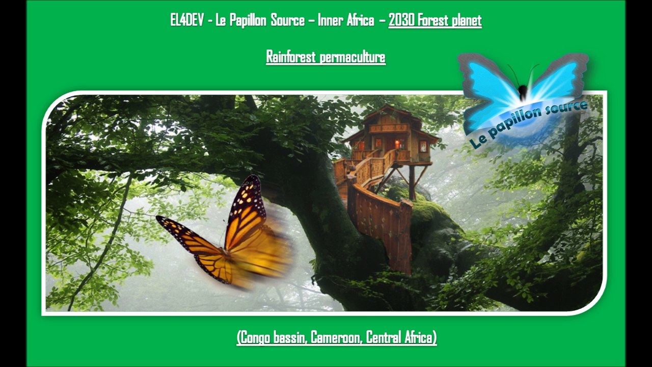 Social and united world - EL4DEV - Le Papillon Source Inner Africa - Rainforest permaculture