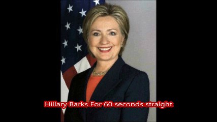 Hillary Clinton Sings a Rock Song  ....   Gone to The Dogs