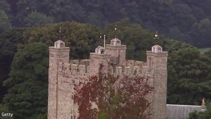 Tipp-Ex divorcee Sally Nightingale down to her last castle