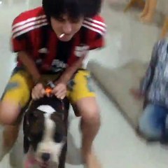 Dylan Carr Di Tangkap Karena Narkoba di Lokasi Syuting Anak Jalanan