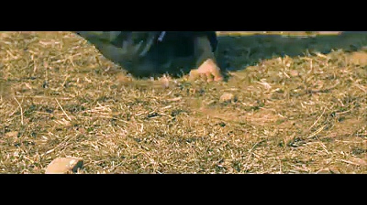 'Allah Khair Kare' | D84 Boys | Coming Soon | Official Teaser