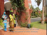 WHO- Preventing foodborne diseases - Women are getting involved.