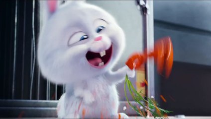 The Secret Life of Pets - Snowball Trailer