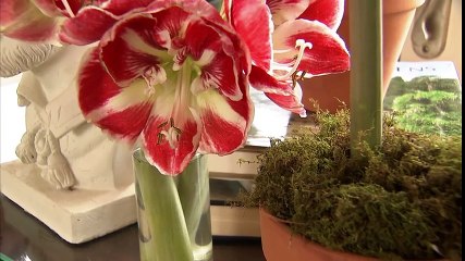 Garden Style ~ Holidays At the Garden Home Retreat