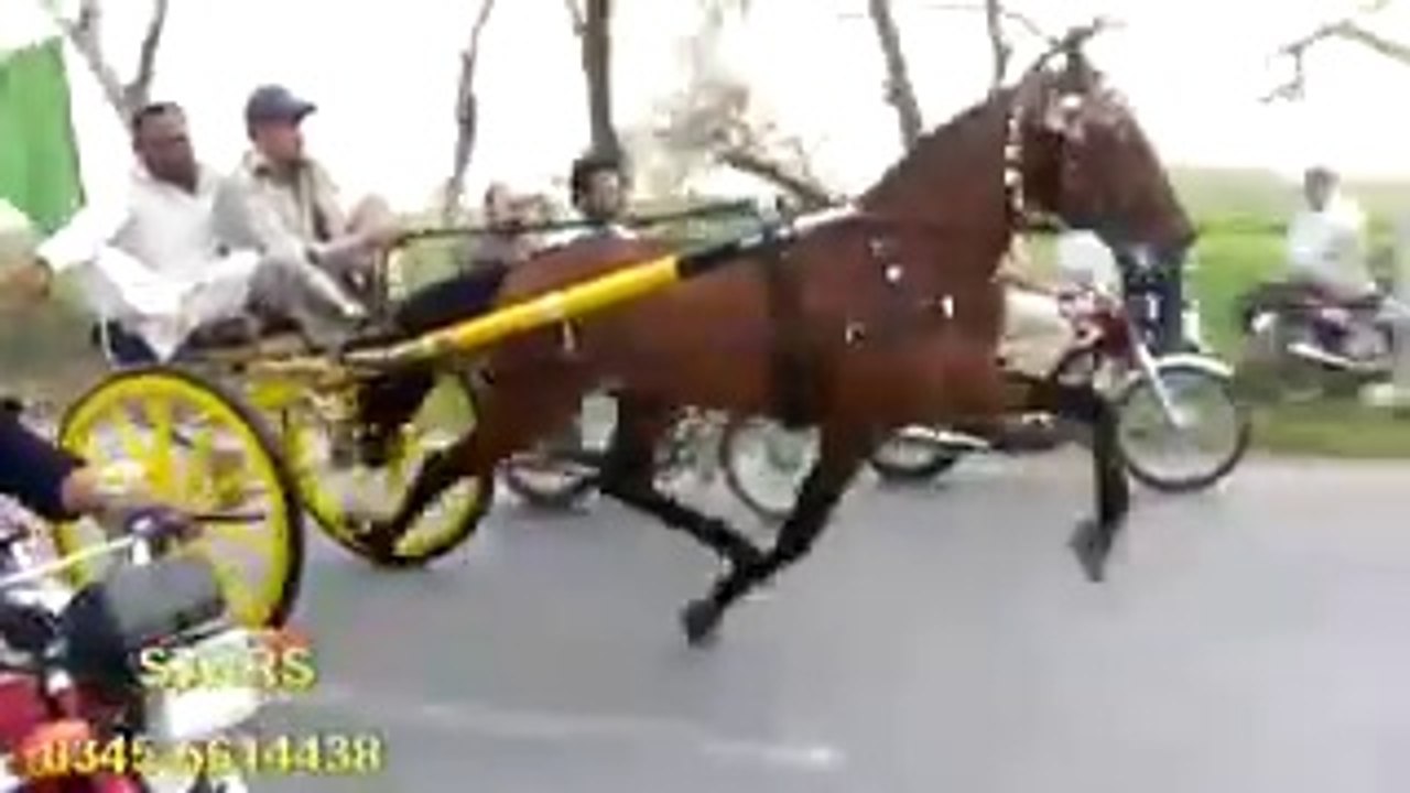 charsi wachera new try
