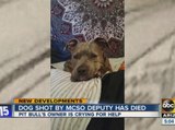 MCSO shoots, kills dog