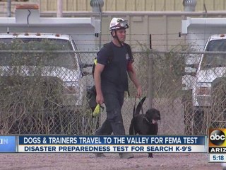 Dogs, trainers test for FEMA disaster preparedness exam