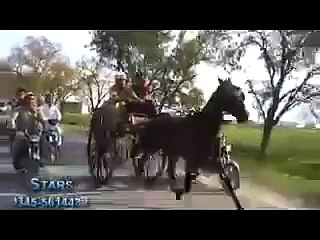 majnu horse race try